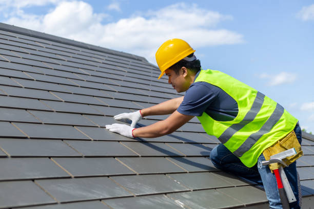Roof Gutter Cleaning in Sawgrass, FL